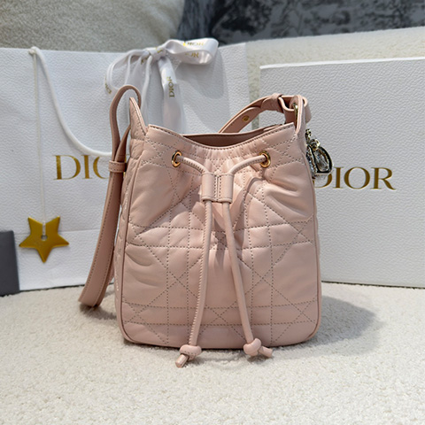 디올 D모션 스몰 백